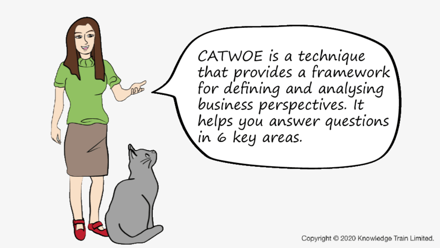 CATWOE business analysis technique