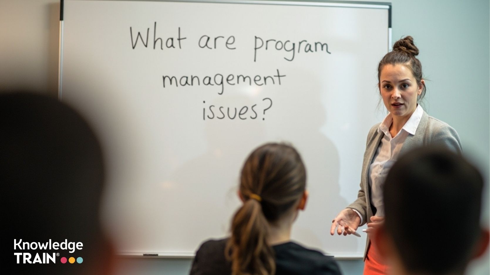 What are program management issues?
