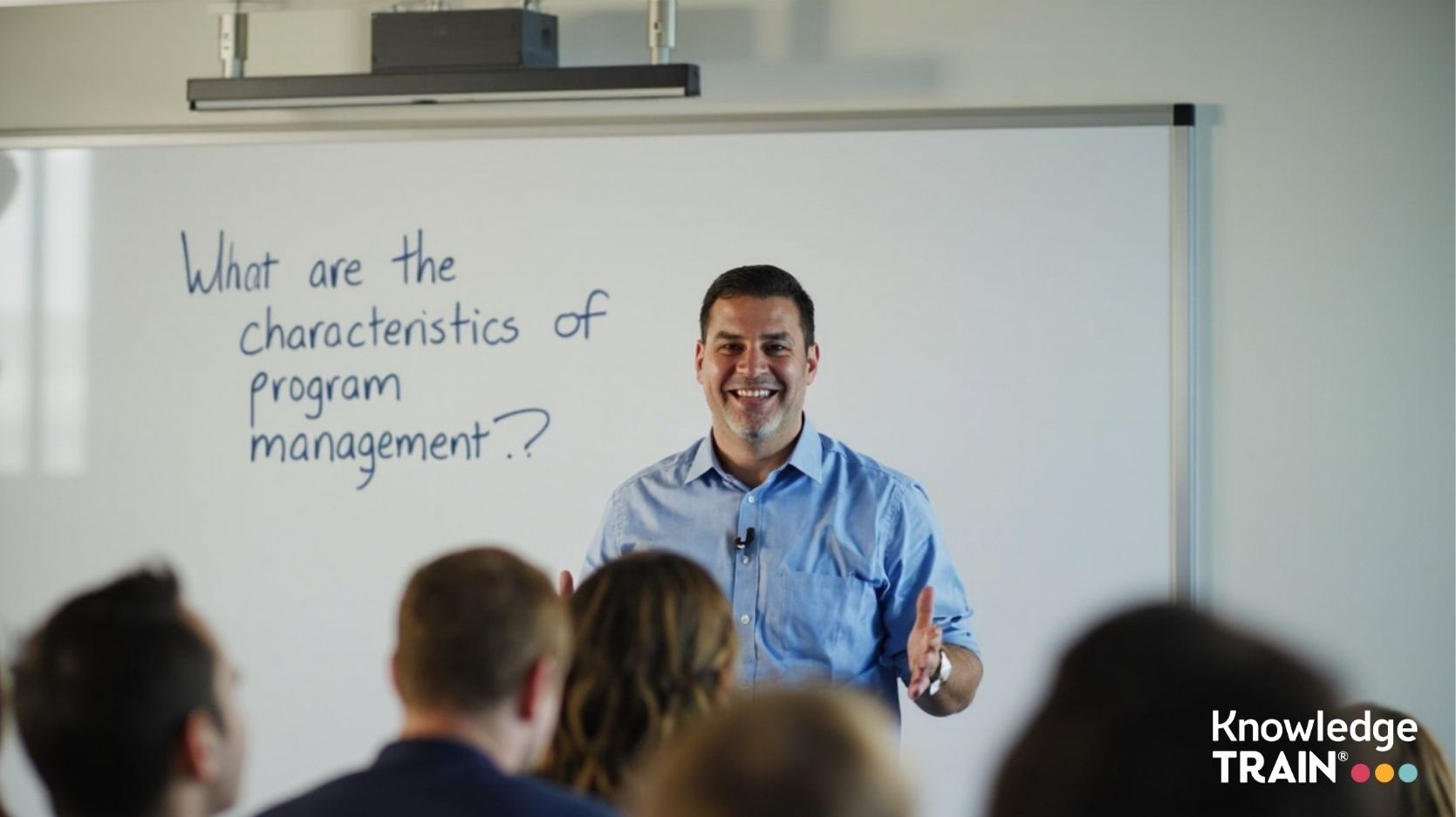 What are the characteristics of program management?