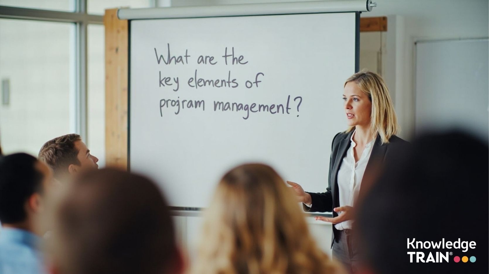 What are the key elements of program management?