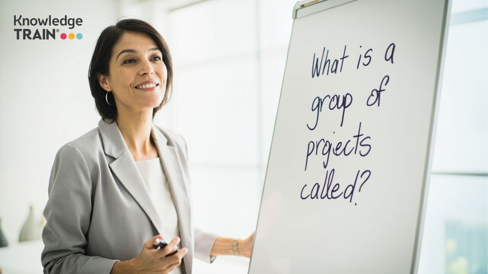 What is a group of projects called?