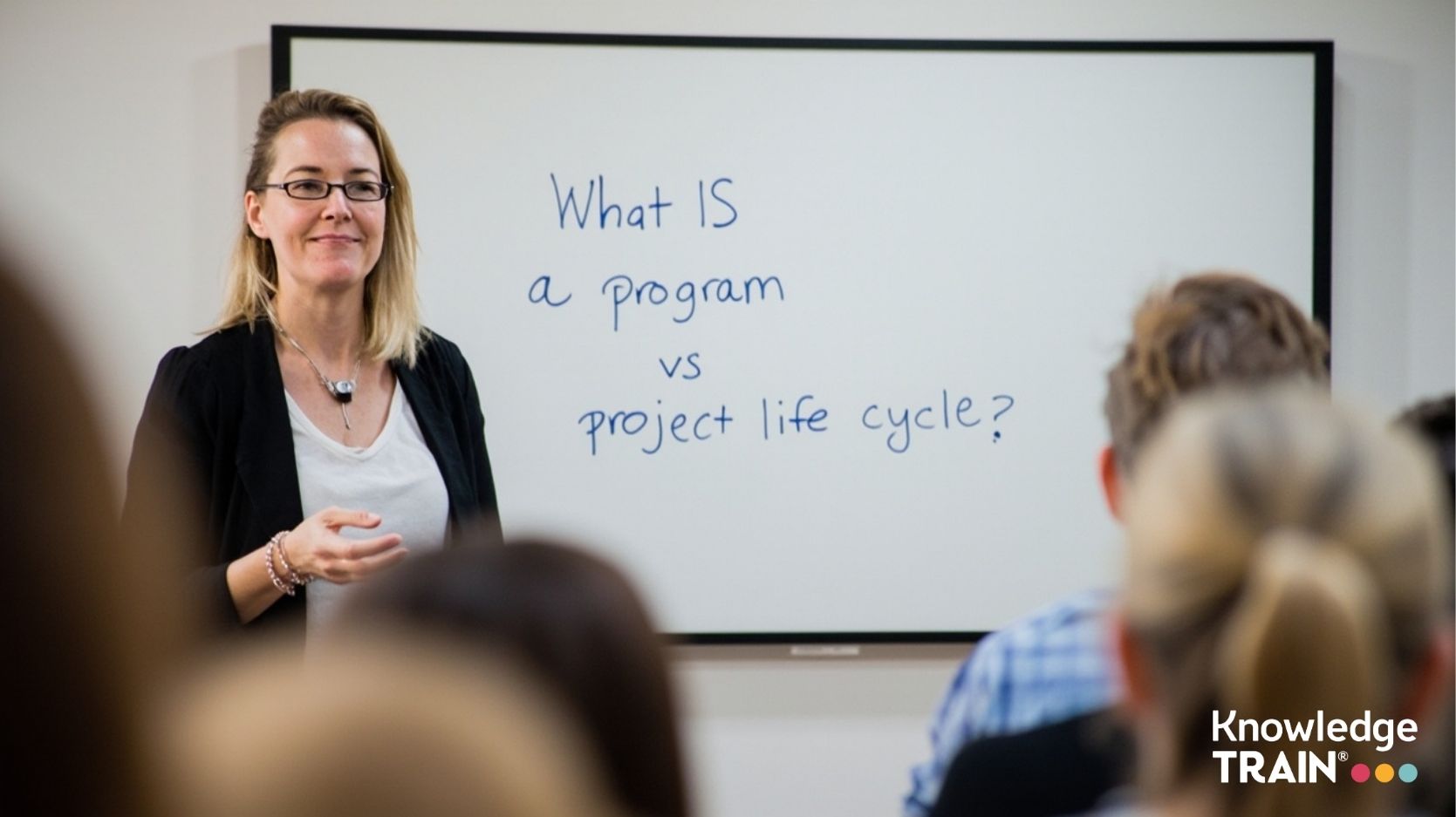 What is a program vs project life cycle?