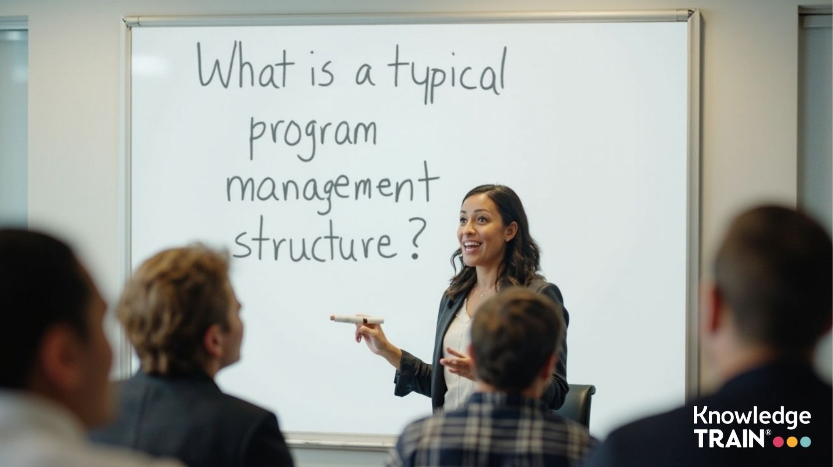 What is a typical program management structure?