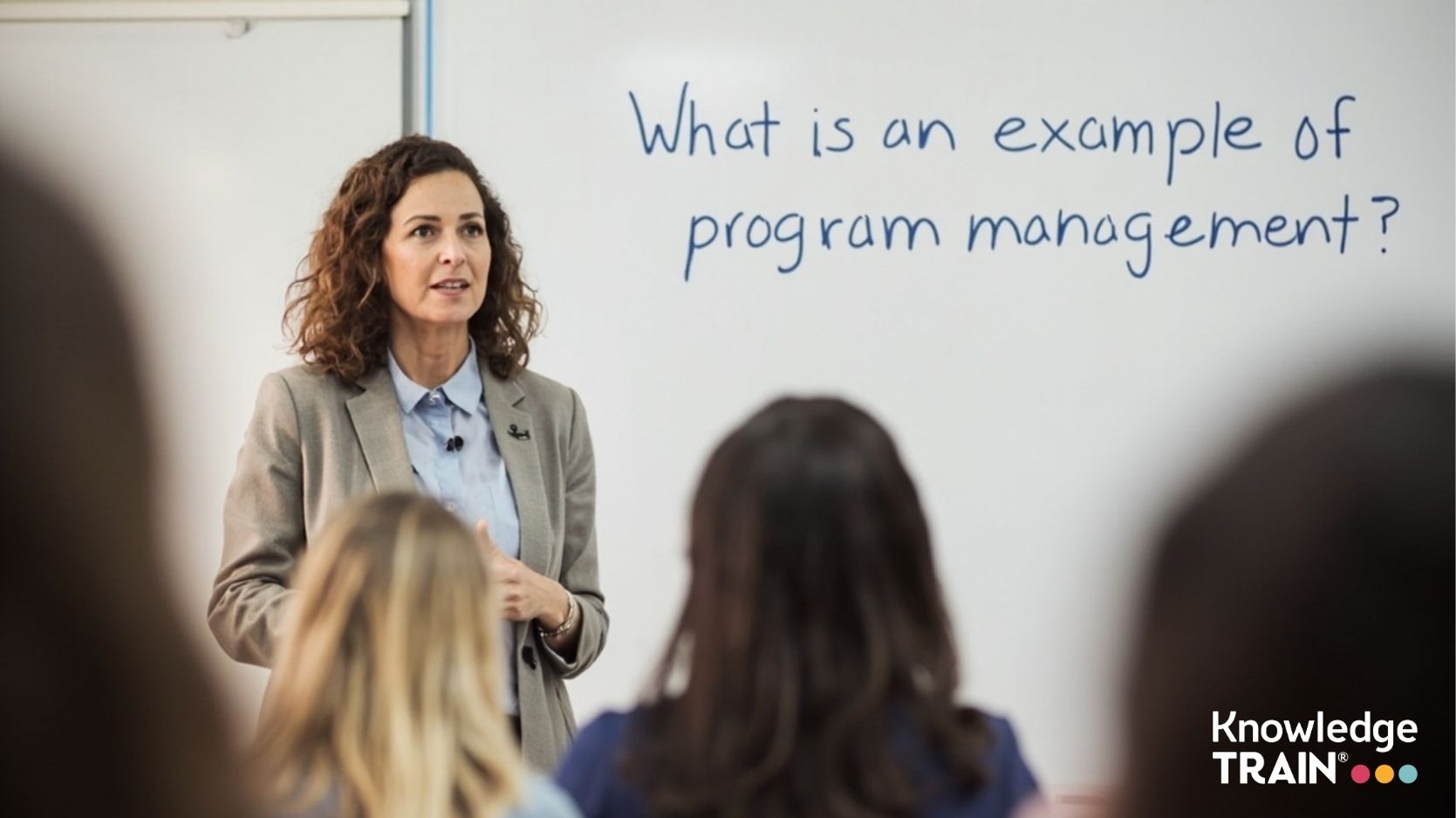 What is an example of program management?