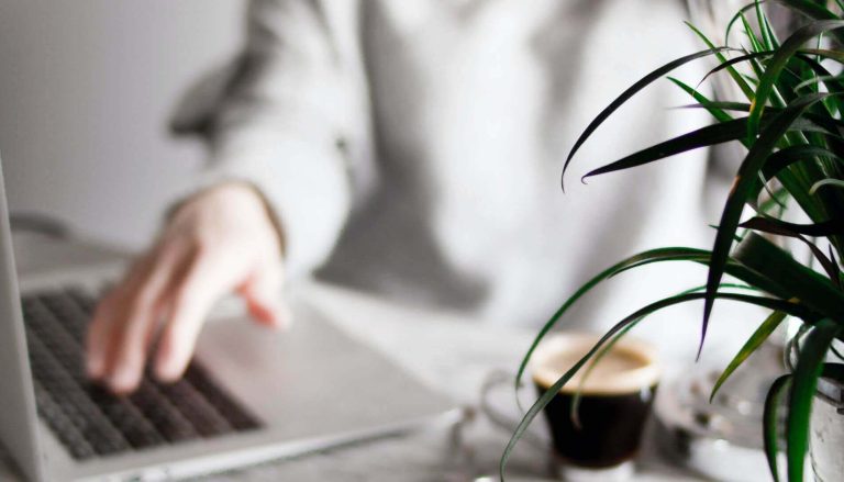 Interview with Rosie Boxall