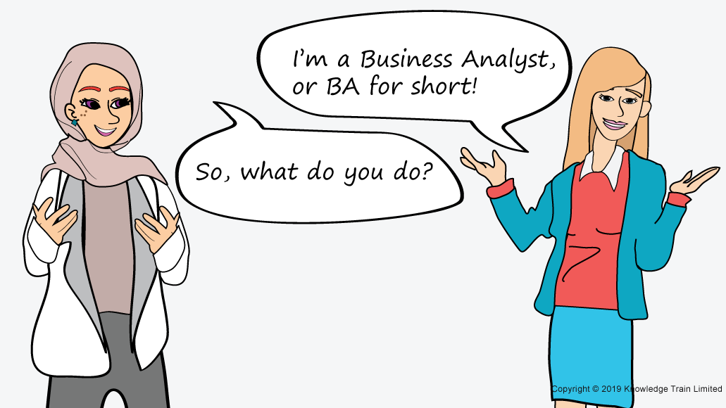 What is a business analyst?