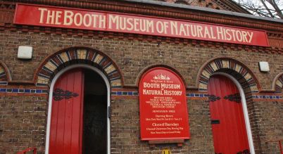 Booth Museum of History – 194 Dyke Road, Brighton BN1 5AA