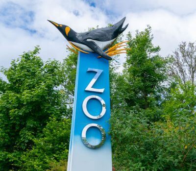 >Edinburgh Zoo – Royal Zoological Society of Scotland, 134 Corstorphine Road, Corstorphine, Edinburgh EH12 6TS